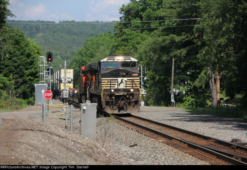 NS 9885 leads 265